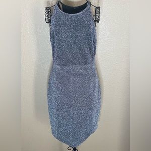 Express Silver Mini Dress